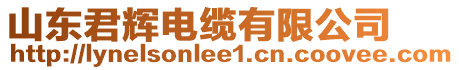 山東君輝電纜有限公司