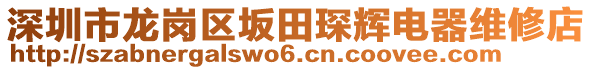 深圳市龍崗區(qū)坂田琛輝電器維修店