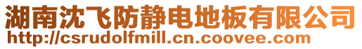 湖南沈飛防靜電地板有限公司