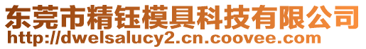 東莞市精鈺模具科技有限公司