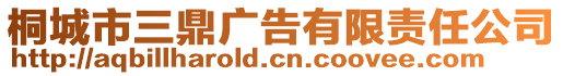 桐城市三鼎廣告有限責(zé)任公司