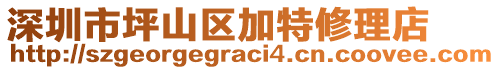 深圳市坪山區(qū)加特修理店