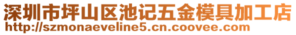深圳市坪山區(qū)池記五金模具加工店