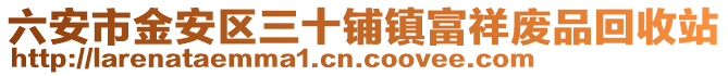 六安市金安區(qū)三十鋪鎮(zhèn)富祥廢品回收站