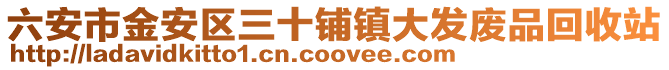 六安市金安区三十铺镇大发废品回收站