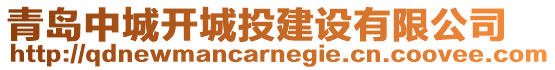 青島中城開城投建設(shè)有限公司