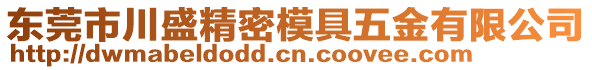 東莞市川盛精密模具五金有限公司