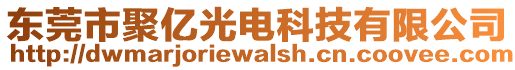 東莞市聚億光電科技有限公司