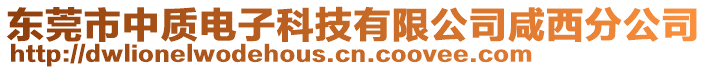 東莞市中質電子科技有限公司咸西分公司