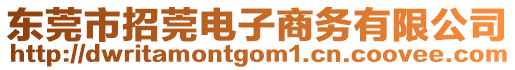 東莞市招莞電子商務(wù)有限公司