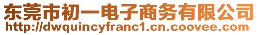 東莞市初一電子商務(wù)有限公司