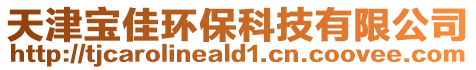 天津?qū)毤循h(huán)保科技有限公司