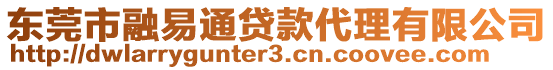 東莞市融易通貸款代理有限公司