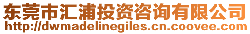 東莞市匯浦投資咨詢有限公司