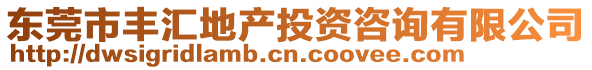 東莞市豐匯地產(chǎn)投資咨詢有限公司