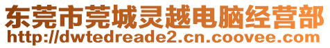 東莞市莞城靈越電腦經(jīng)營部