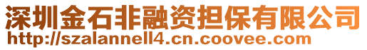 深圳金石非融資擔保有限公司