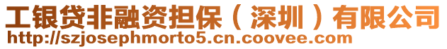 工銀貸非融資擔(dān)保（深圳）有限公司