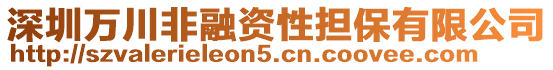 深圳萬川非融資性擔保有限公司