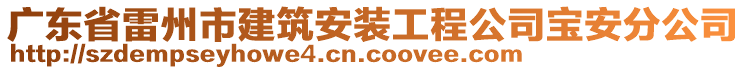 廣東省雷州市建筑安裝工程公司寶安分公司