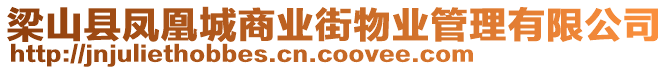 梁山縣鳳凰城商業(yè)街物業(yè)管理有限公司