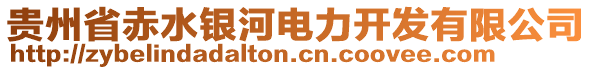 貴州省赤水銀河電力開發(fā)有限公司