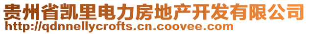 貴州省凱里電力房地產(chǎn)開發(fā)有限公司