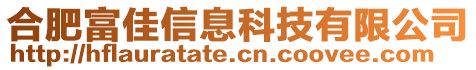 合肥富佳信息科技有限公司