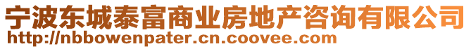 宁波东城泰富商业房地产咨询有限公司