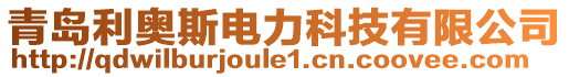 青島利奧斯電力科技有限公司