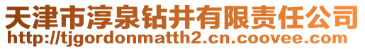 天津市淳泉鉆井有限責(zé)任公司