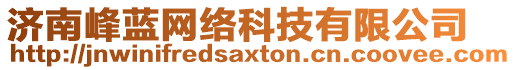 濟(jì)南峰藍(lán)網(wǎng)絡(luò)科技有限公司