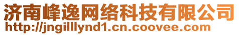 濟南峰逸網(wǎng)絡科技有限公司