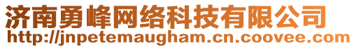 濟(jì)南勇峰網(wǎng)絡(luò)科技有限公司