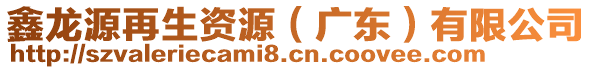 鑫龍?jiān)丛偕Y源（廣東）有限公司