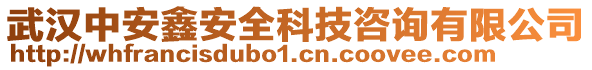 武漢中安鑫安全科技咨詢有限公司