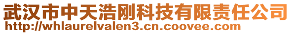 武漢市中天浩剛科技有限責(zé)任公司