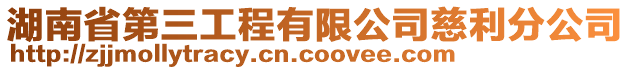 湖南省第三工程有限公司慈利分公司