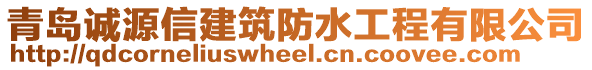 青島誠(chéng)源信建筑防水工程有限公司