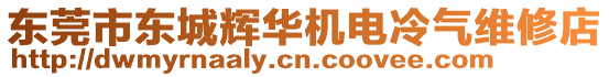 東莞市東城輝華機(jī)電冷氣維修店