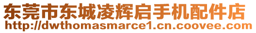 東莞市東城凌輝啟手機(jī)配件店