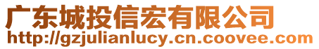 廣東城投信宏有限公司