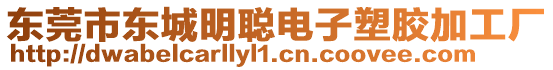 東莞市東城明聰電子塑膠加工廠