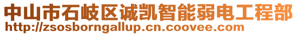 中山市石岐區(qū)誠(chéng)凱智能弱電工程部