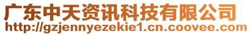 廣東中天資訊科技有限公司