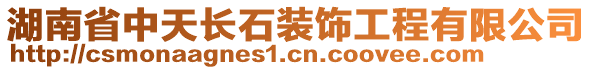 湖南省中天長石裝飾工程有限公司