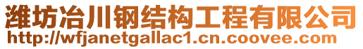 濰坊冶川鋼結(jié)構(gòu)工程有限公司