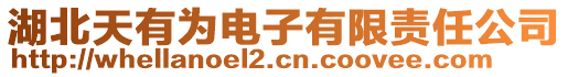 湖北天有为电子有限责任公司