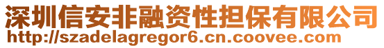 深圳信安非融資性擔保有限公司