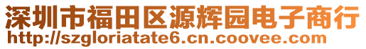 深圳市福田區(qū)源輝園電子商行